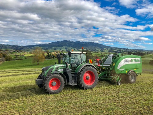 Baling Pirongia